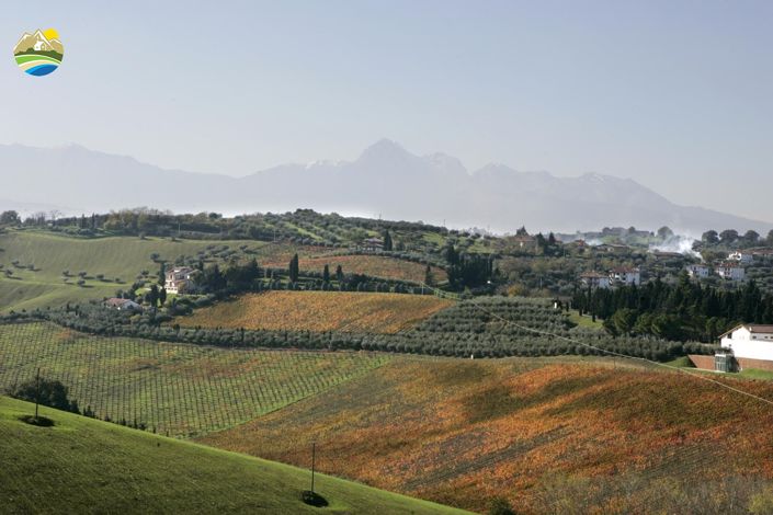 Image No.20-Terre à vendre à Notaresco