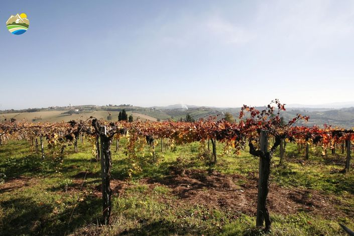 Image No.21-Terre à vendre à Notaresco