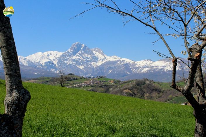 Image No.2-3 Bed Country House for sale