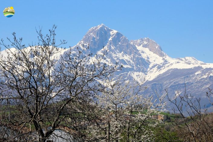 Image No.36-3 Bed Country House for sale