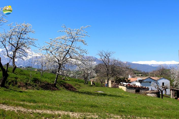 Image No.38-3 Bed Country House for sale