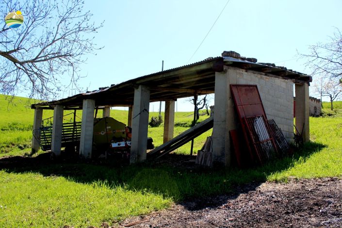 Image No.39-3 Bed Country House for sale