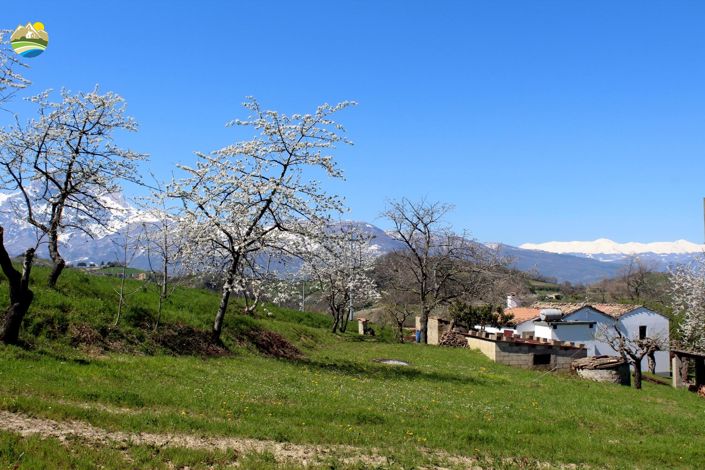 Image No.4-3 Bed Country House for sale