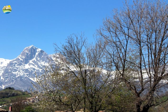 Image No.40-3 Bed Country House for sale