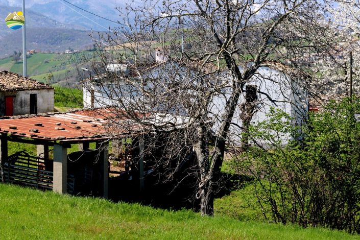 Image No.41-3 Bed Country House for sale