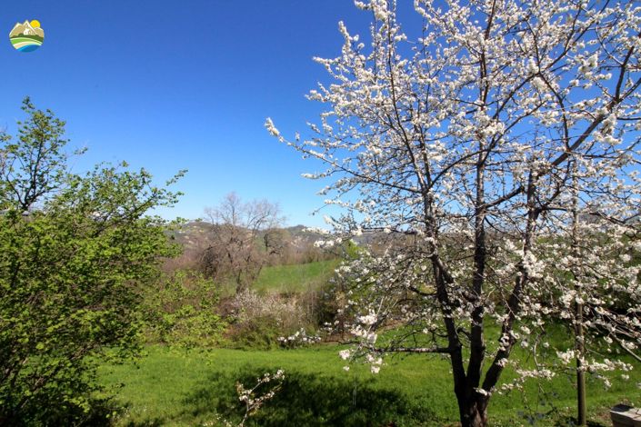 Image No.43-3 Bed Country House for sale