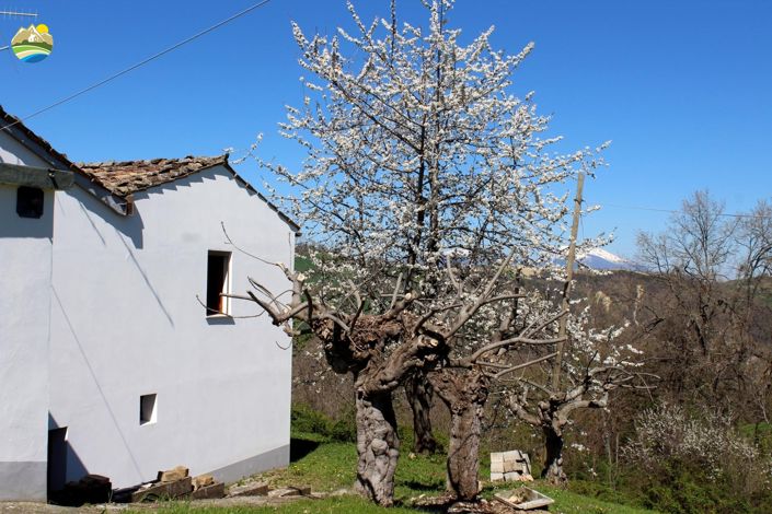 Image No.7-3 Bed Country House for sale