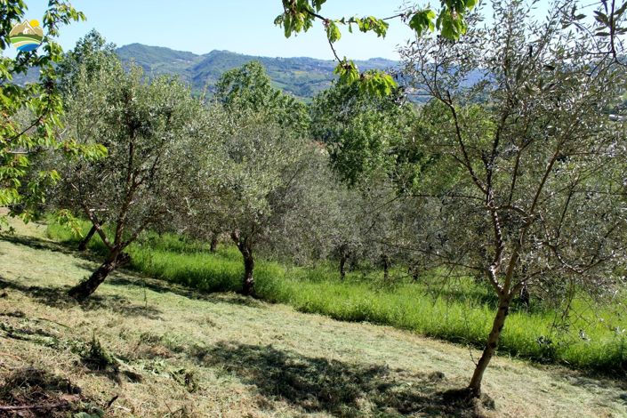 Image No.28-2 Bed Country House for sale