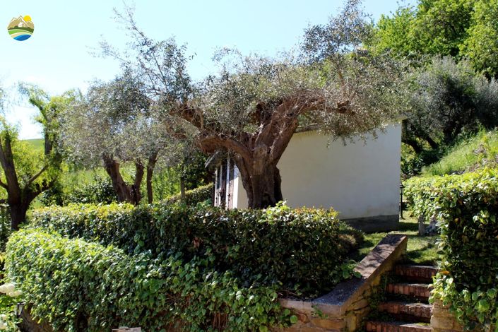 Image No.30-2 Bed Country House for sale