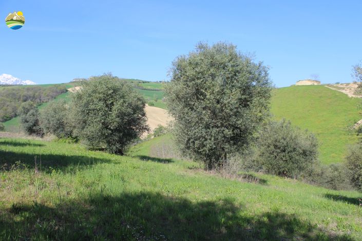 Image No.11-Land for sale