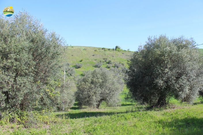 Image No.12-Land for sale