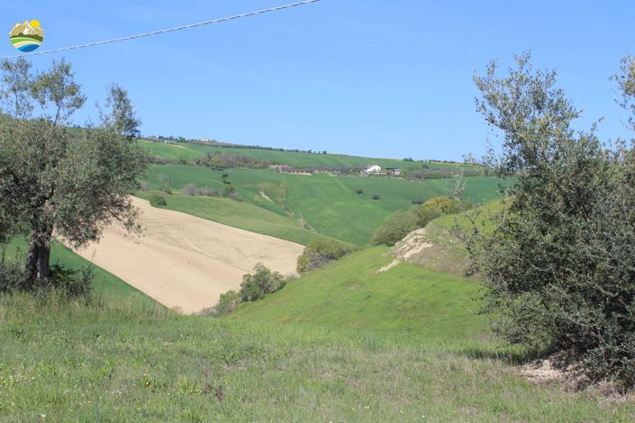 Image No.5-Land for sale