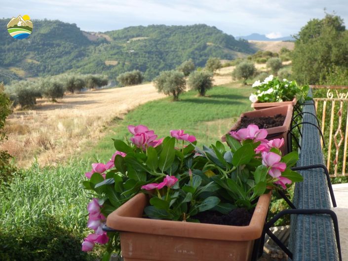 Image No.25-3 Bed Country House for sale