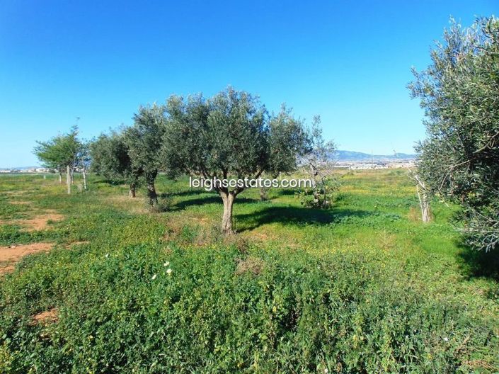 Image No.21-3 Bed Villa for sale