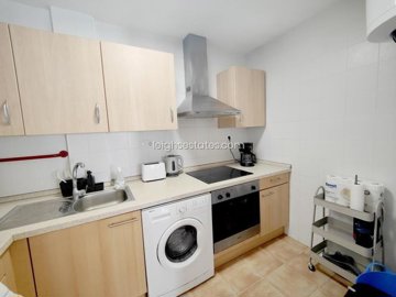 55669afe8fae8d32423587941