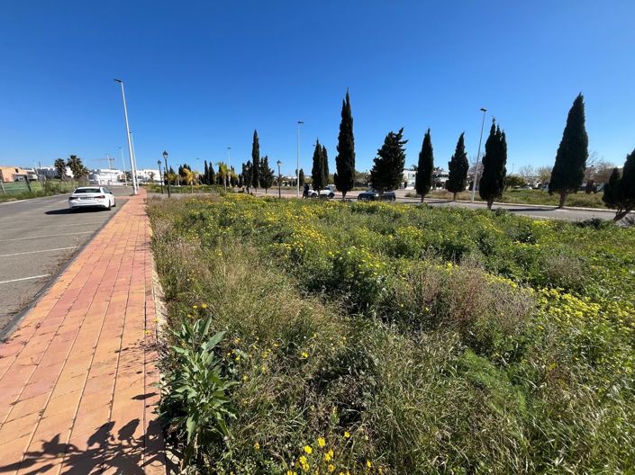 Image No.3-Propriété à vendre à San Pedro del Pinatar