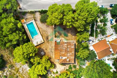 DJI_0481-watermarked