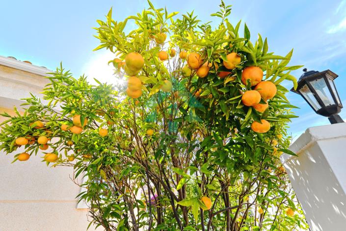 Image No.27-2 Bed Villa / Detached for sale