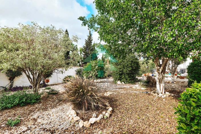 Image No.12-Villa / Détaché de 3 chambres à vendre à Pinar de Campoverde