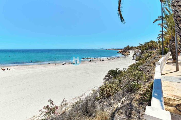 Image No.35-Maison de ville de 2 chambres à vendre à Torre de la Horadada