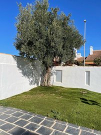 110208villaforsaleintorredelahoradada17022512