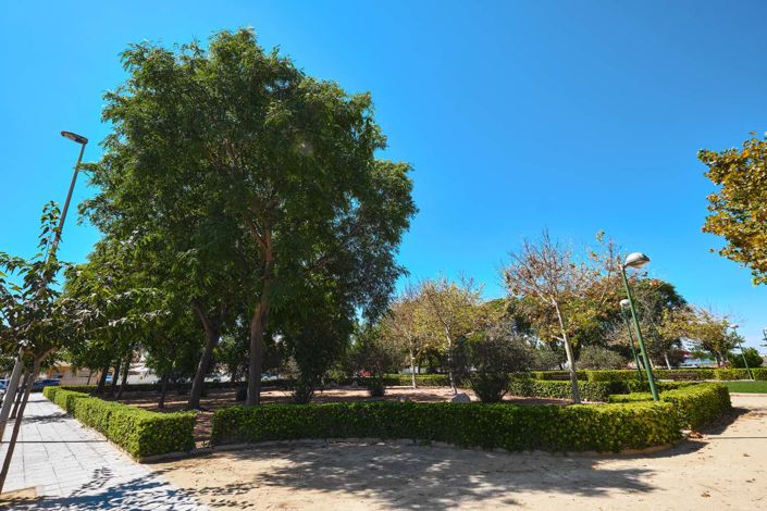 Image No.45-Jumelé de 3 chambres à vendre à Torre de la Horadada