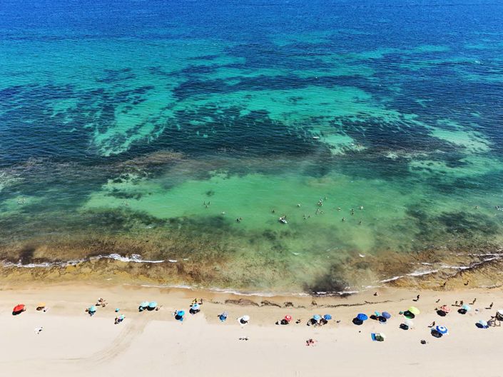 Image No.49-Jumelé de 3 chambres à vendre à Torre de la Horadada