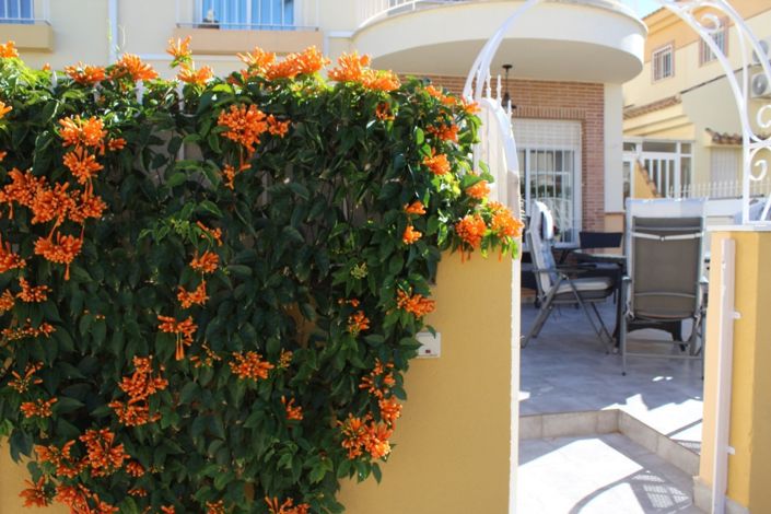 Image No.4-3 Bed Townhouse for sale