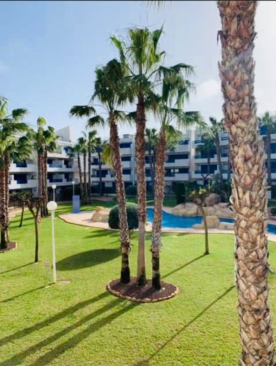 Image No.17-Appartement de 2 chambres à vendre à Playa Flamenca