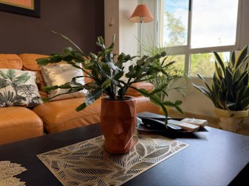 312605apartmentforsaleinpilardelahoradada1409