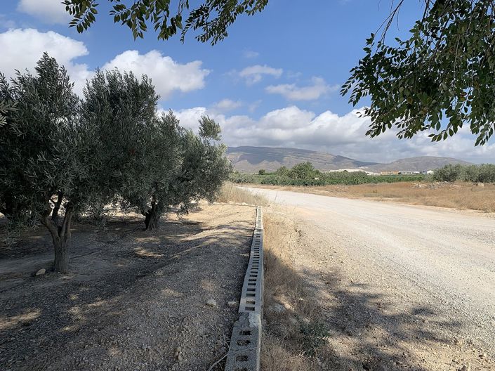 Image No.21-Finca à vendre à Caudete