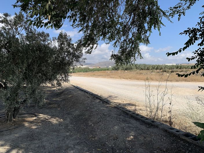 Image No.22-Finca for sale