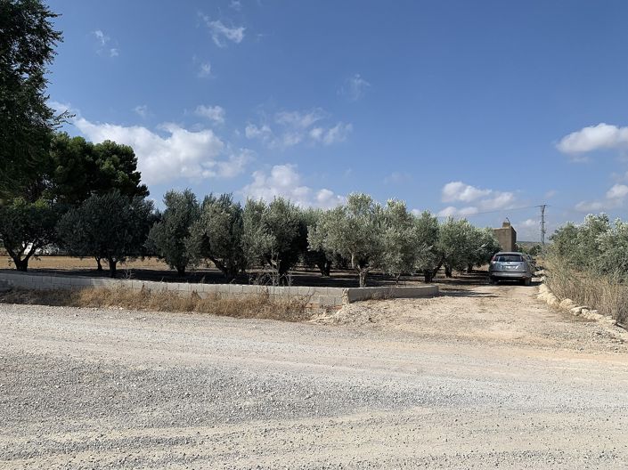 Image No.23-Finca for sale