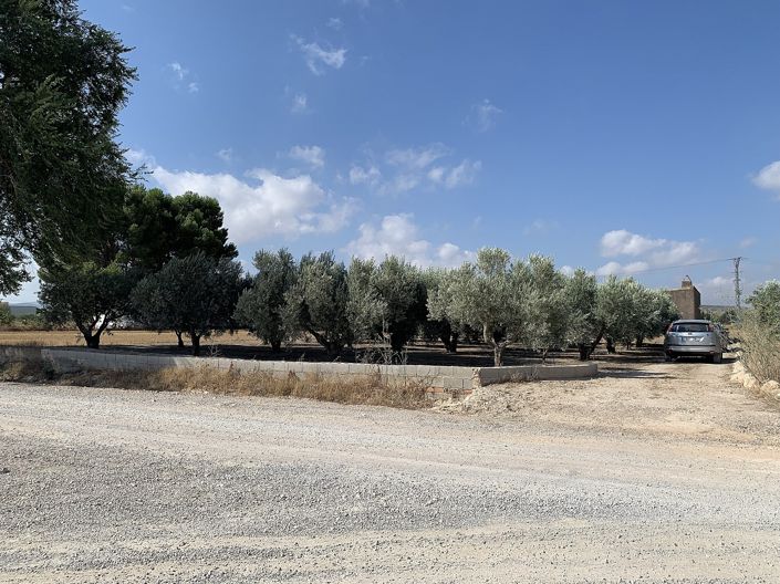 Image No.24-Finca for sale