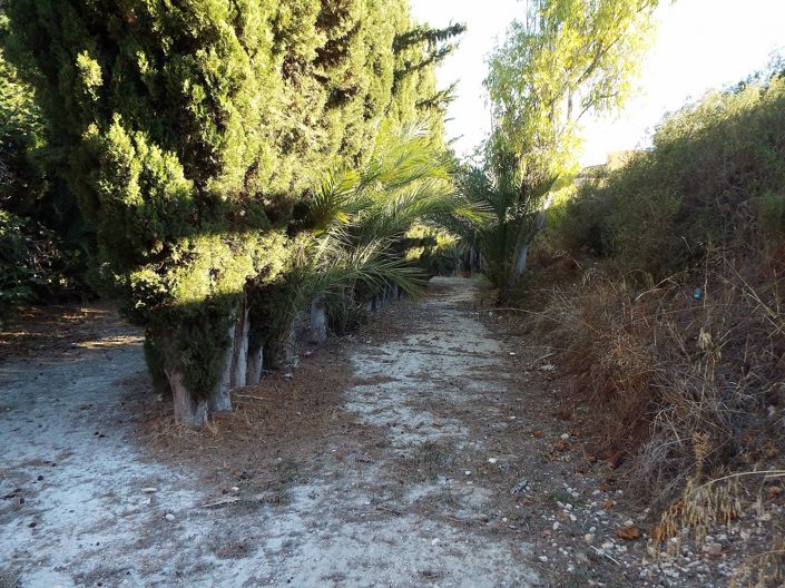 Image No.12-Maison de campagne de 12 chambres à vendre à Murcie