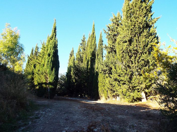 Image No.15-Maison de campagne de 12 chambres à vendre à Murcie