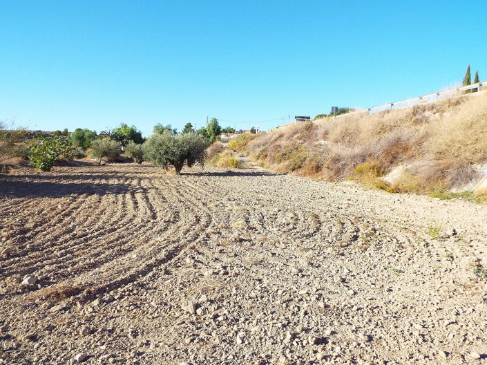 Image No.16-12 Bed Country House for sale