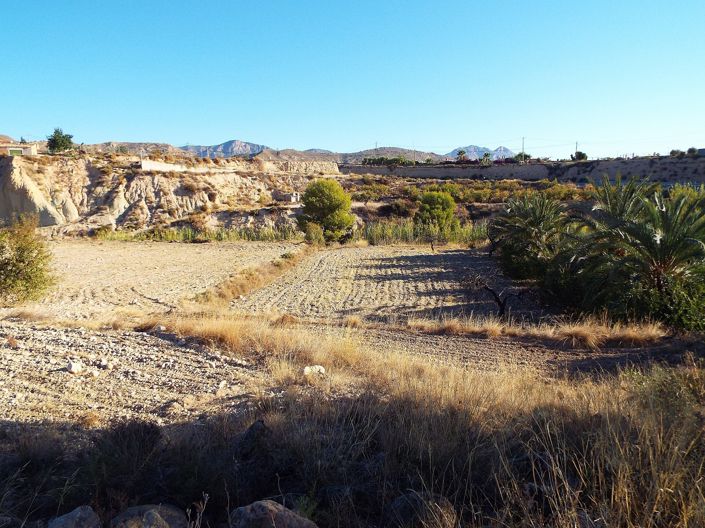 Image No.3-Maison de campagne de 12 chambres à vendre à Murcie