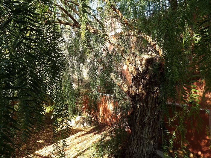 Image No.31-Maison de campagne de 12 chambres à vendre à Murcie