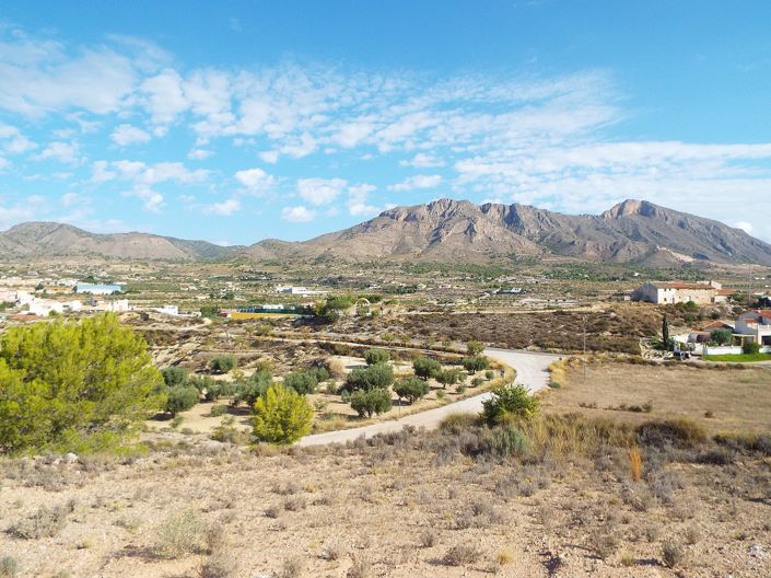 Image No.4-Land for sale