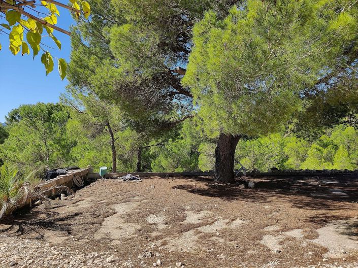 Image No.19-Maison de campagne de 2 chambres à vendre à Monóvar