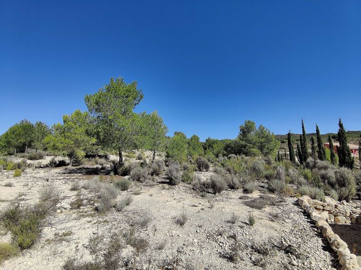 Image No.20-Maison de campagne de 2 chambres à vendre à Monóvar