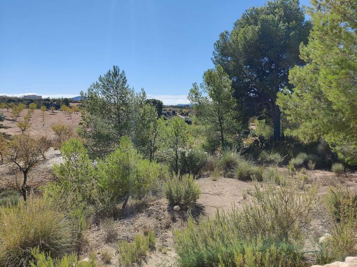 Image No.21-Maison de campagne de 2 chambres à vendre à Monóvar