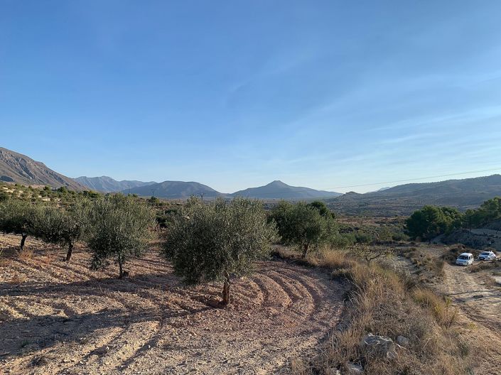 Image No.7-Land for sale