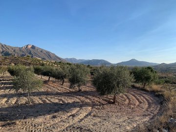 wokov2n8f7g2t7sof78eg