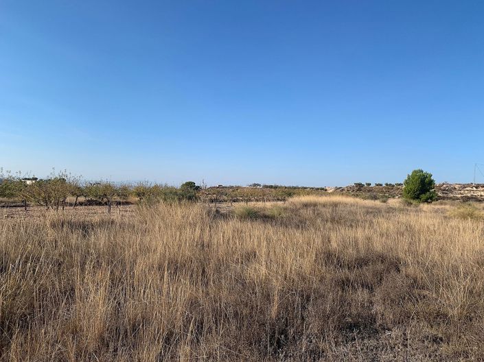 Image No.3-Land for sale