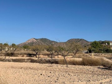 wnv02bzd25r52wh7dvozn