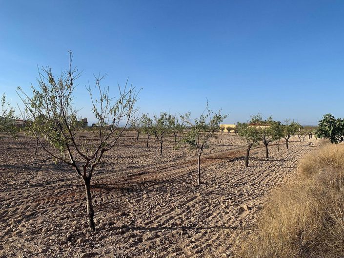 Image No.3-Land for sale