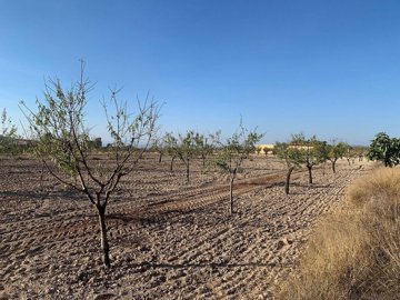 wj5o62krrgo420mftxwa7