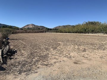 wtdwrvp84t5x4i6mv3hn6